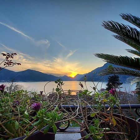 Apartment Terazza Di Ljuta コトル エクステリア 写真