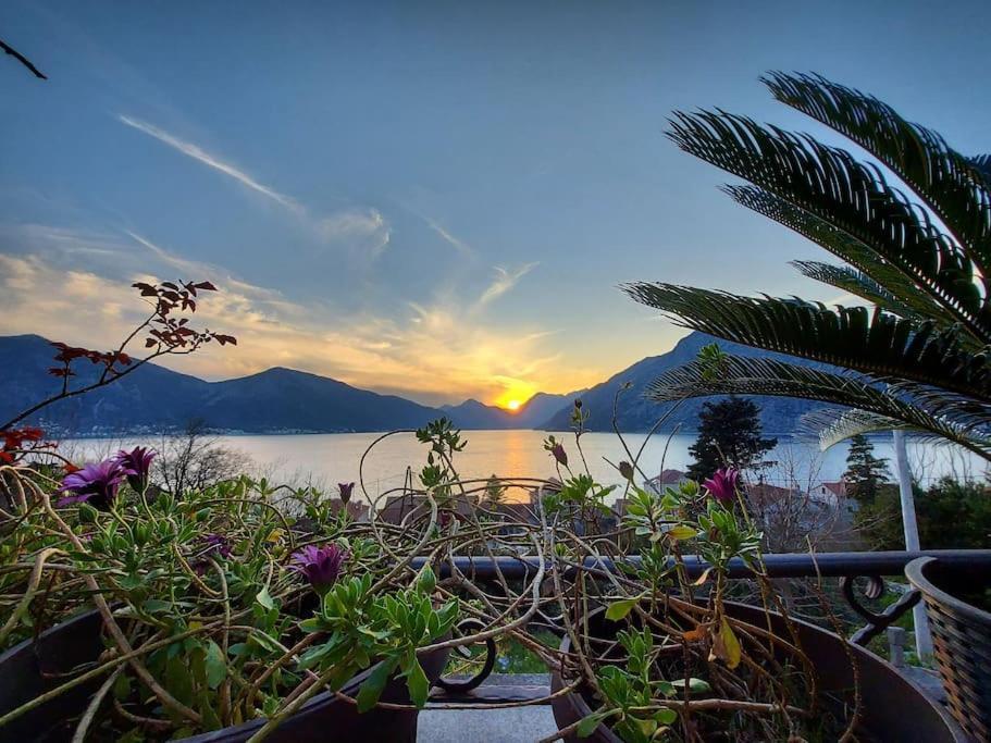 Apartment Terazza Di Ljuta コトル エクステリア 写真