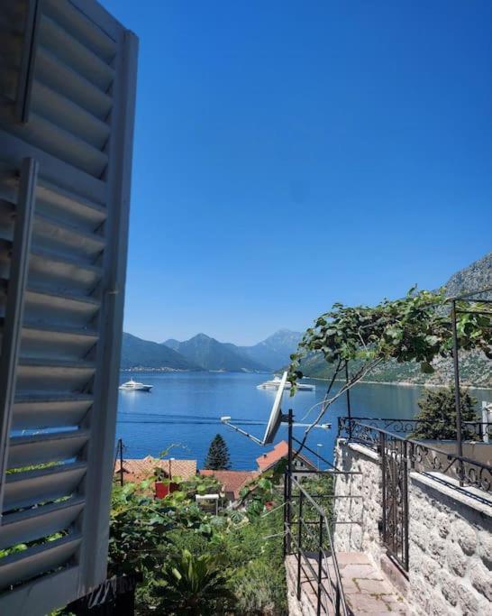 Apartment Terazza Di Ljuta コトル エクステリア 写真