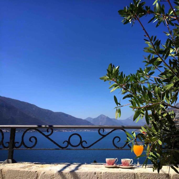 Apartment Terazza Di Ljuta コトル エクステリア 写真