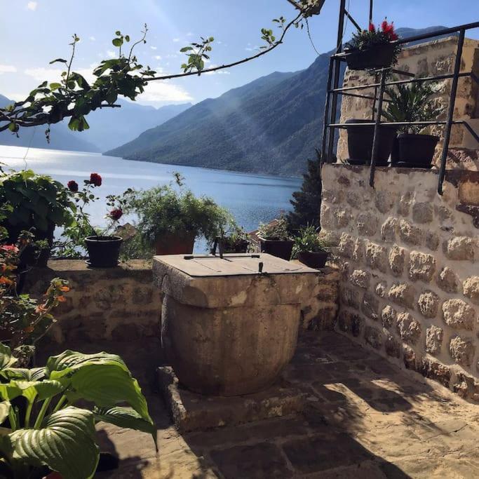 Apartment Terazza Di Ljuta コトル エクステリア 写真
