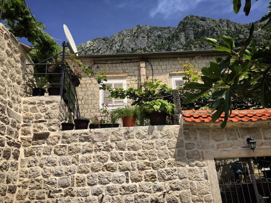 Apartment Terazza Di Ljuta コトル エクステリア 写真